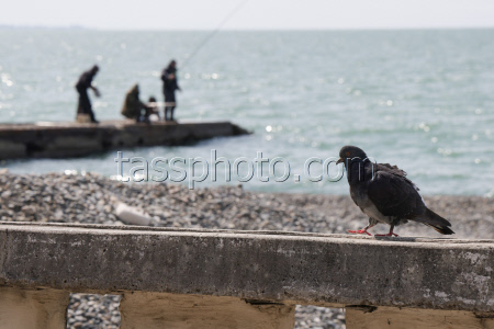 Daily life in Sukhum, Abkhazia