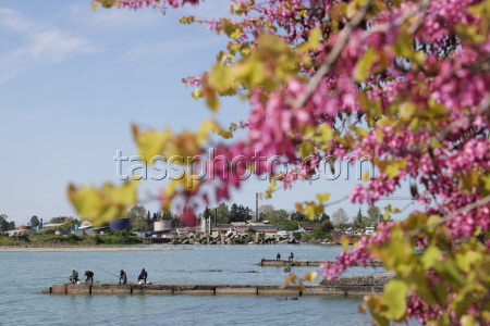 Daily life in Sukhum, Abkhazia