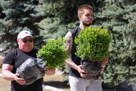 Beautification of cemetery in Melitopol, Russia