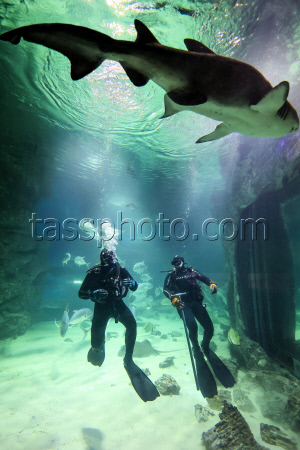 Moskvarium Centre of Oceanography and Marine Biology at Moscow's VDNKh