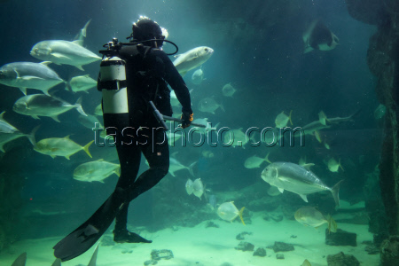 Moskvarium Centre of Oceanography and Marine Biology at Moscow's VDNKh