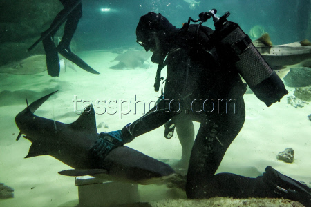 Moskvarium Centre of Oceanography and Marine Biology at Moscow's VDNKh