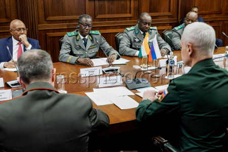 Defence ministers of Russia and Niger meet in Moscow