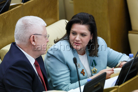 Plenary meeting of Russian State Duma