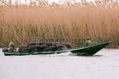 Chelyuskinets Export fishery company in Astrakhan Region, Russia