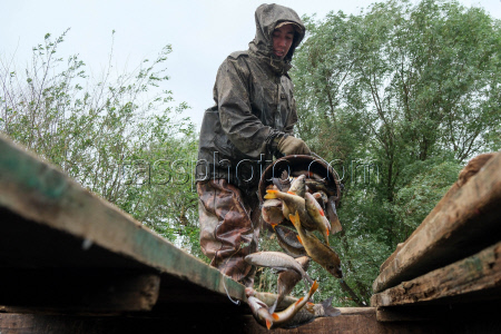 Chelyuskinets Export fishery company in Astrakhan Region, Russia