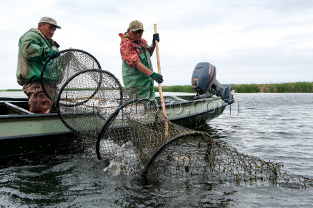 Chelyuskinets Export fishery company in Astrakhan Region, Russia