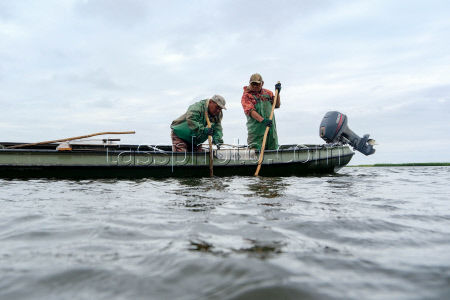 Chelyuskinets Export fishery company in Astrakhan Region, Russia