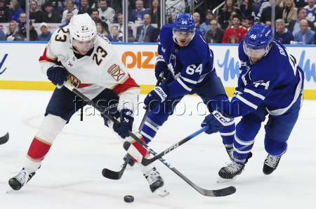 Panthers Maple Leafs Hockey