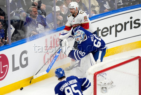 Panthers Maple Leafs Hockey
