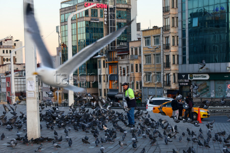 Istanbul, Turkey in pictures