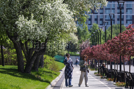 Russian city of Novosibirsk in spring