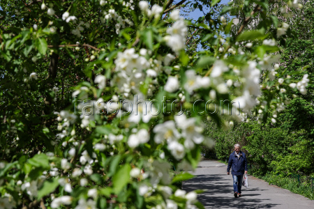 Russian city of Novosibirsk in spring
