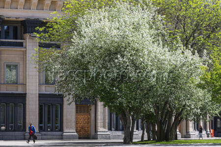 Russian city of Novosibirsk in spring