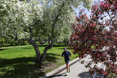 Russian city of Novosibirsk in spring
