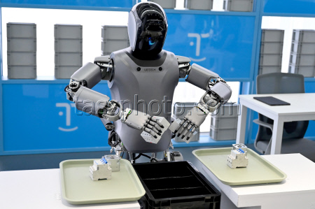 Humanoid robots in China
