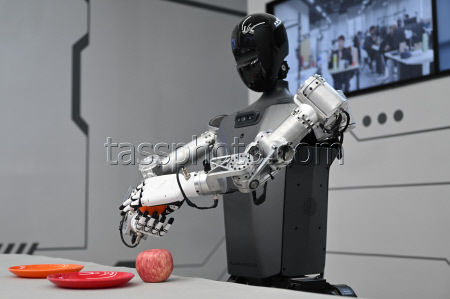 Humanoid robots in China