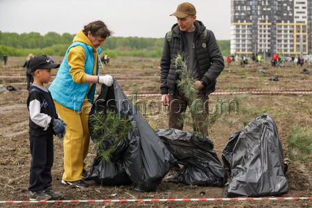 Geoglyph marking 80 years since victory in WWII created in Novosibirsk, Russia