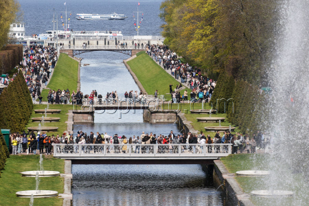 Spring fountain festival in St Petersburg, Russia