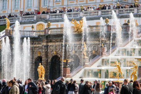 Spring fountain festival in St Petersburg, Russia