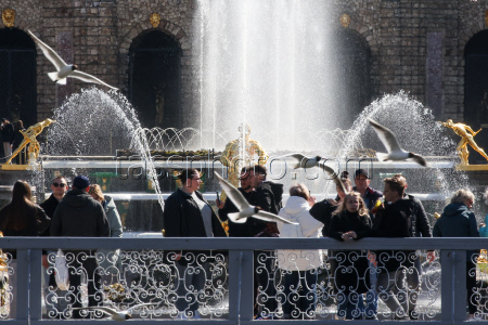 Spring fountain festival in St Petersburg, Russia