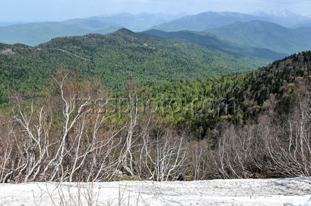 Lago-Naki Plateau in Russia's Adygea Republic
