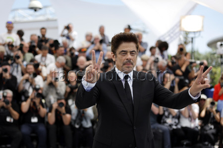 The Phoenician Scheme - Photocall - 78th Cannes Film Festival