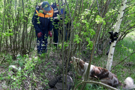 Emercom's service dogs training in Novosibirsk Region