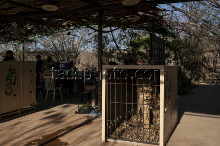 Mexico Violence Animal Refuge Photo Gallery