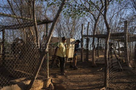 Mexico Violence Animal Refuge Photo Gallery
