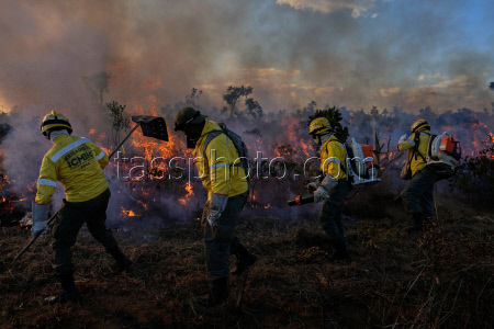 Brazil Wildfire