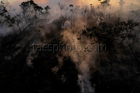 Brazil Wildfire