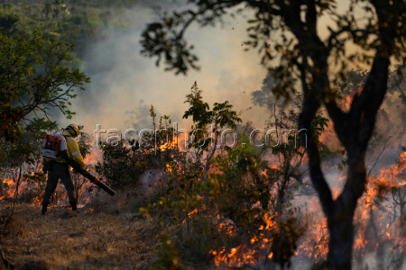 Brazil Wildfire