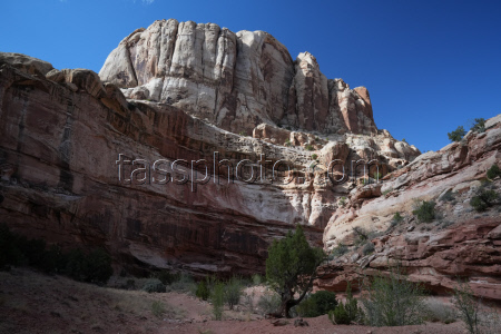 Scenes From Bryce Captiol Reef National Park In Utah