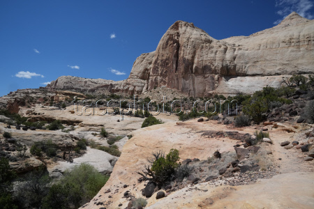 Scenes From Bryce Captiol Reef National Park In Utah