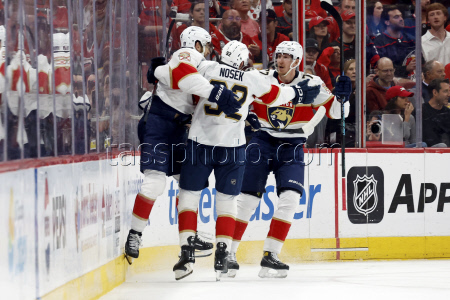 Panthers Hurricanes Hockey