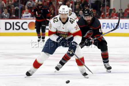Panthers Hurricanes Hockey