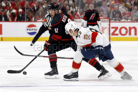 Panthers Hurricanes Hockey