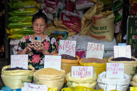 Vietnam to export low-emission rice to Japan