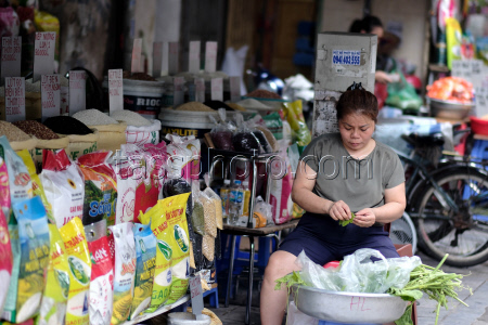 Vietnam to export low-emission rice to Japan