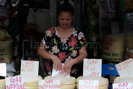 Vietnam to export low-emission rice to Japan