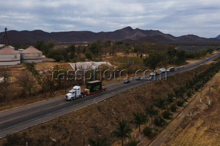 Mexico Violence Animals Refuge