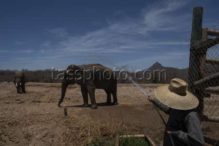 Mexico Violence Animals Refuge