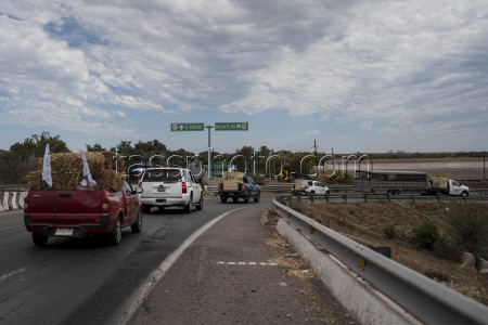 Mexico Violence Animals Refuge