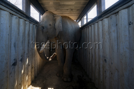 Mexico Violence Animals Refuge