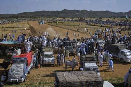 Pakistan Bull Racing Photo Gallery