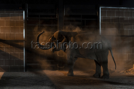 Mexico Violence Animals Refuge