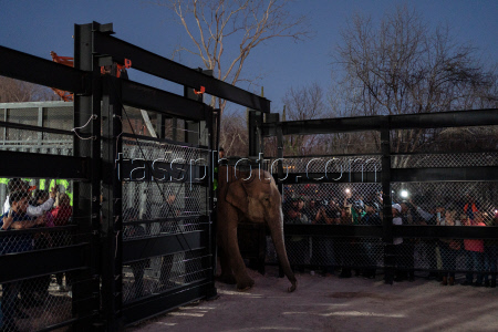 Mexico Violence Animals Refuge