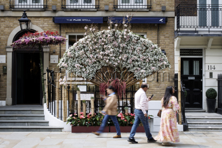 Цветочный фестиваль Chelsea in Bloom на западе Лондона