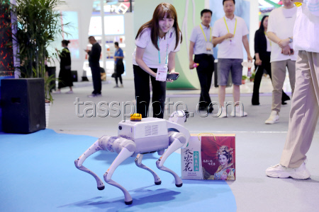 9th Silk Road Int'l Exposition Kicks Off In Xi'an